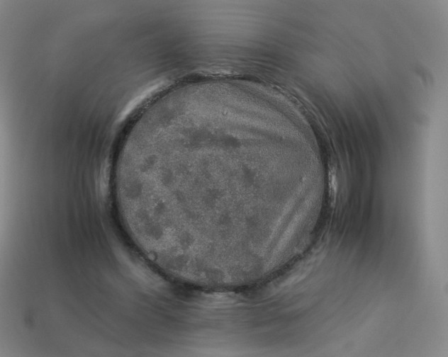 X0000113600396200910091525