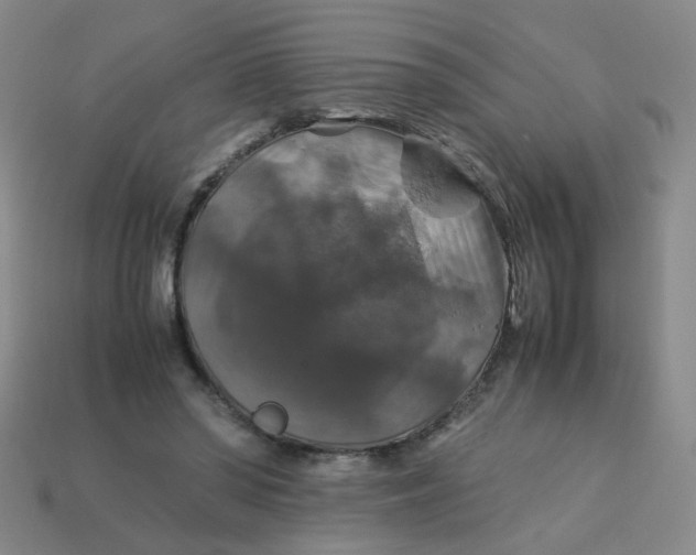 X0000113600398200910091525