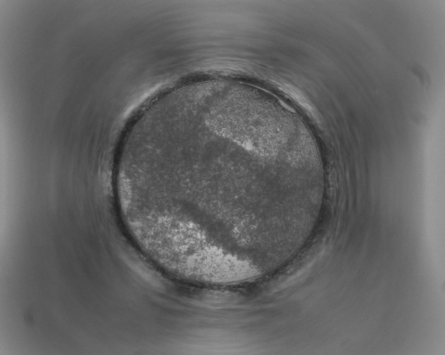 X0000113600399200910091525