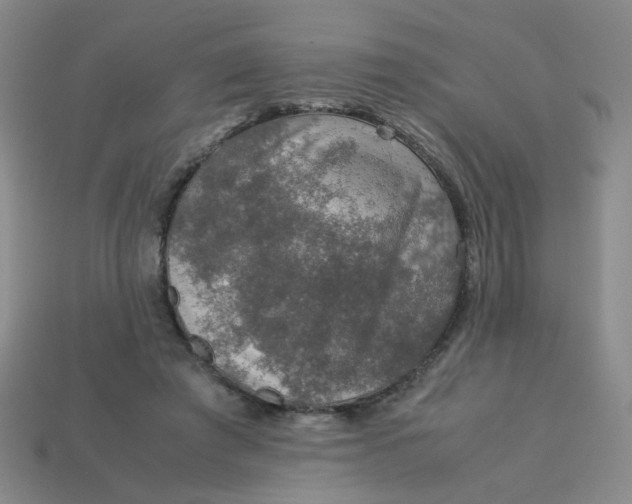 X0000113600401200910091525