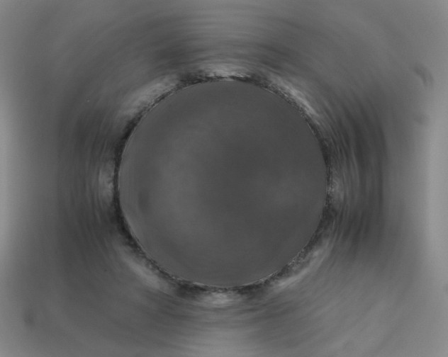 X0000113600402200910091525