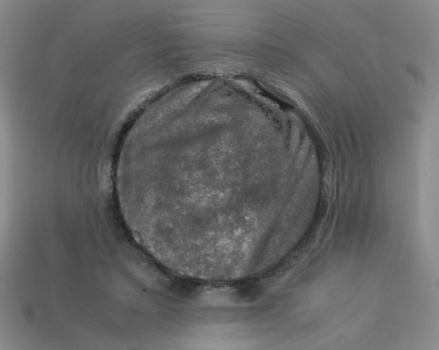 X0000113600403200910091524