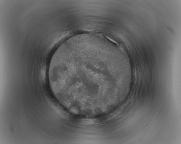 X0000113600404200910091524