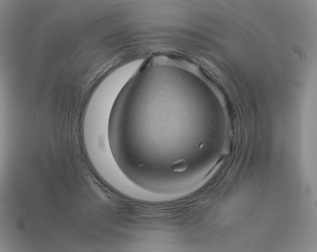 X0000113600405200910091524