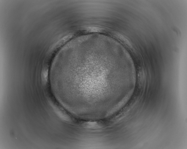 X0000113600406200910091524