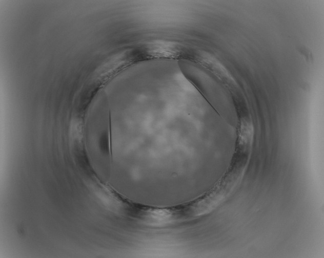 X0000113600409200910091524