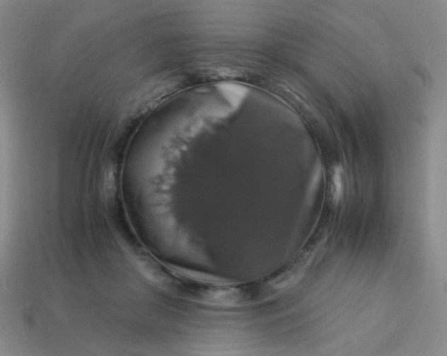 X0000113600410200910091524