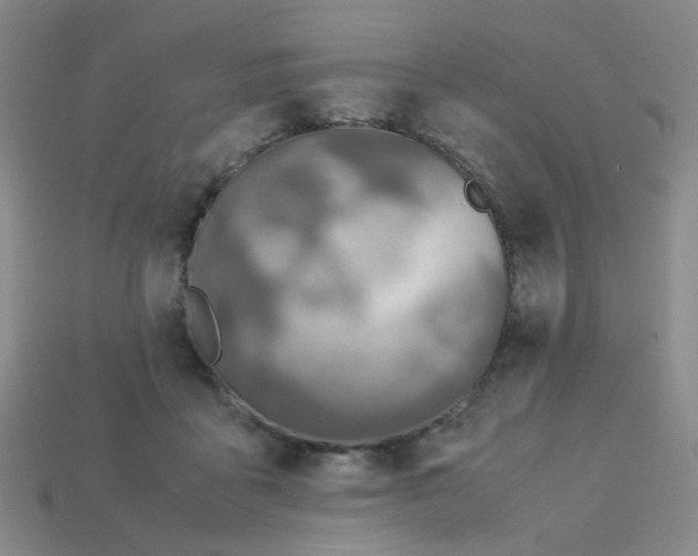 X0000113600411200910091524