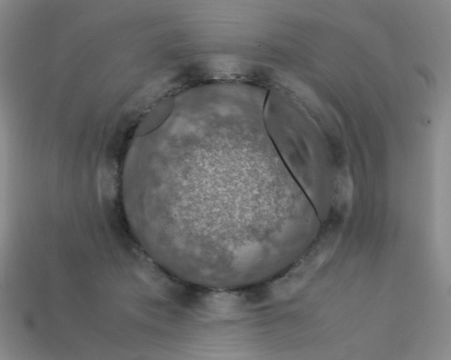 X0000113600413200910091524