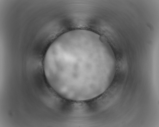 X0000113600415200910091524