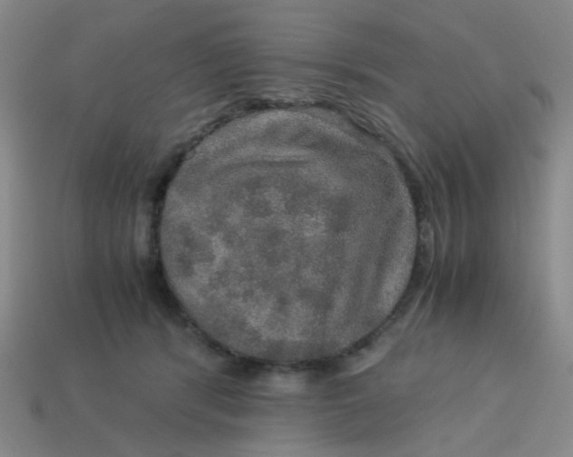 X0000113600416200910091524