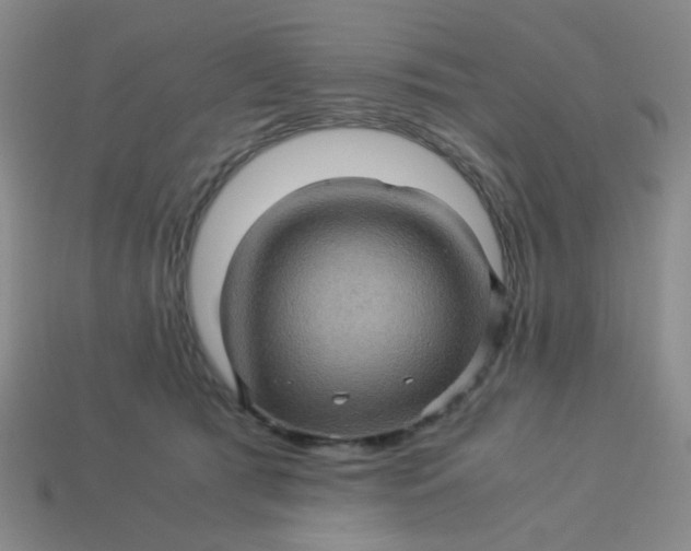 X0000113600417200910091524