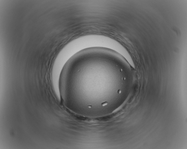 X0000113600419200910091524