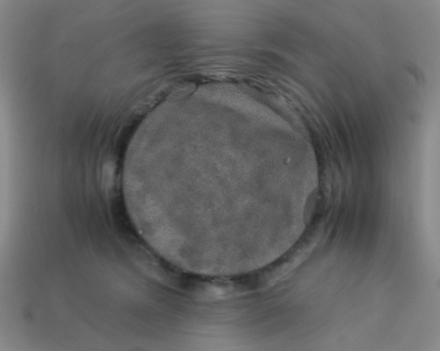 X0000113600420200910091524