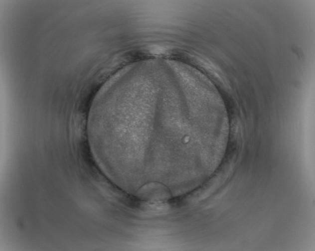 X0000113600421200910091524