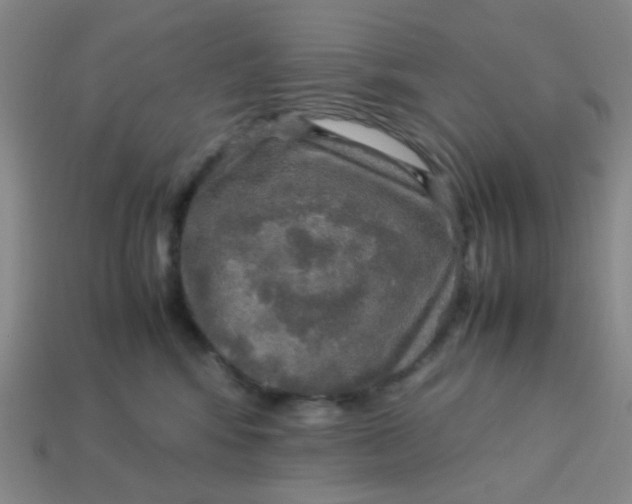 X0000113600424200910091524