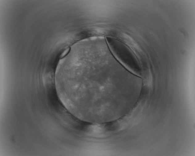 X0000113600425200910091524