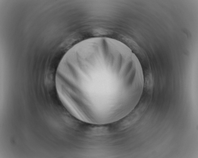 X0000113600426200910091524