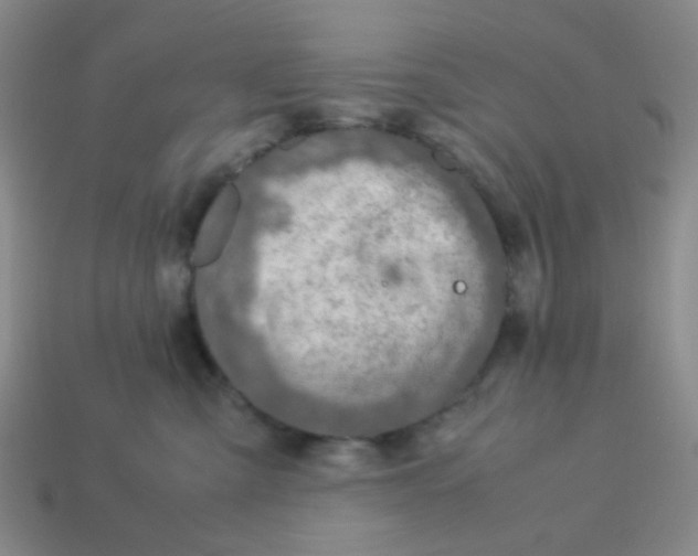 X0000113600427200910091524