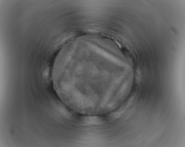 X0000113600428200910091524