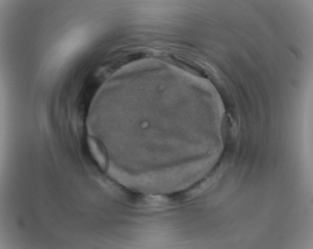 X0000113600429200910091524