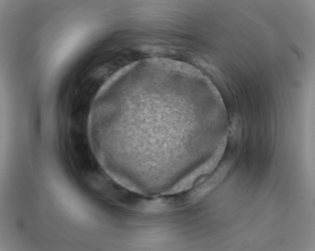 X0000113600430200910091524