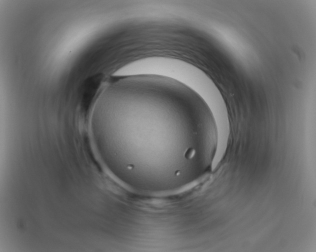 X0000113600431200910091524