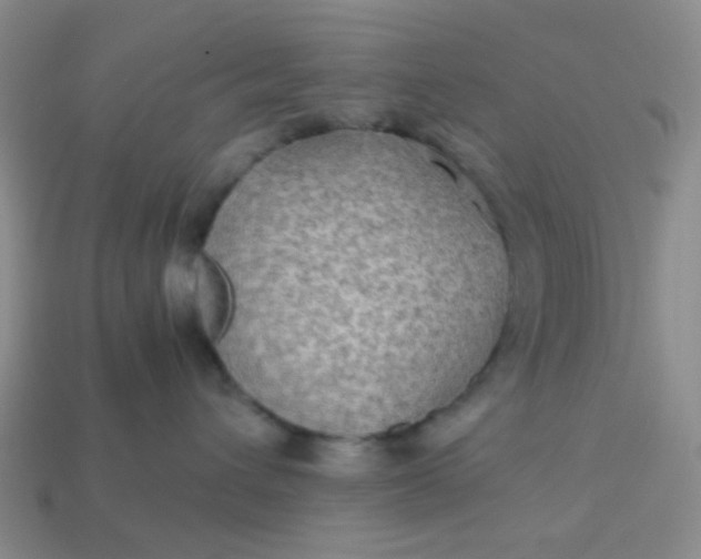 X0000113600432200910091524