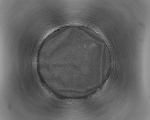 X0000113600434200910091524