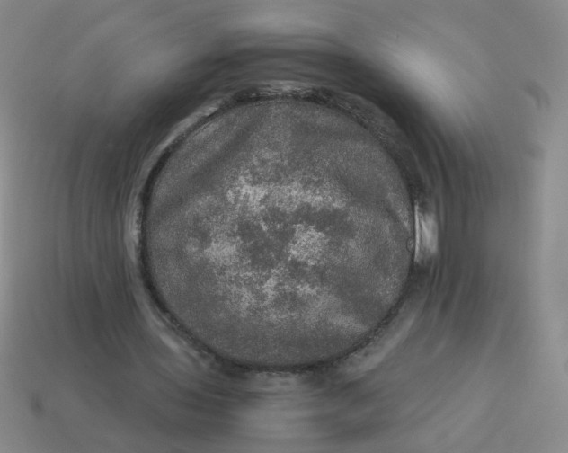 X0000113600435200910091524