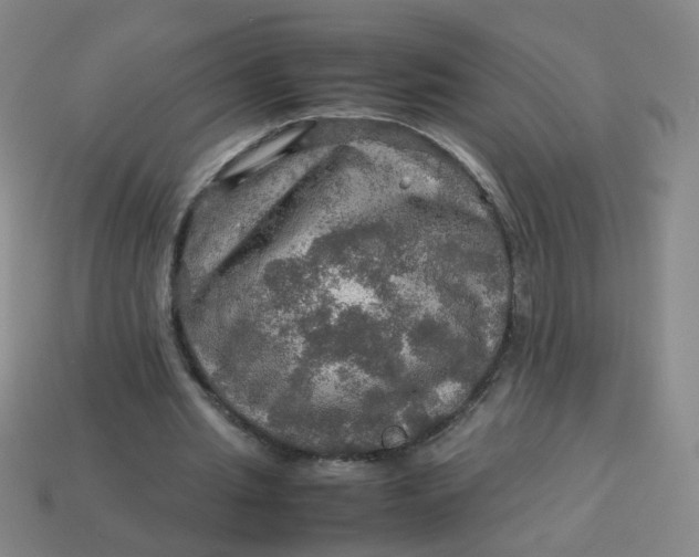 X0000113600437200910091524