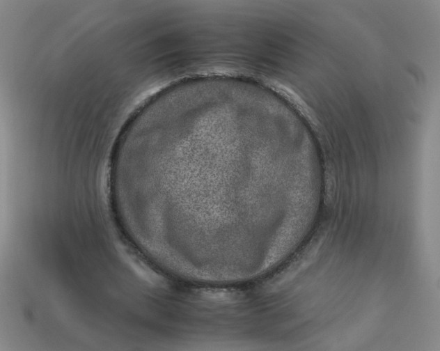 X0000113600439200910091524