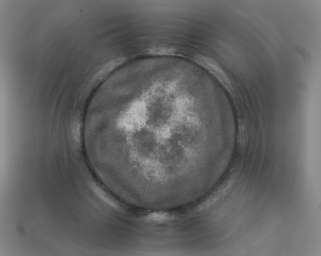 X0000113600441200910091524