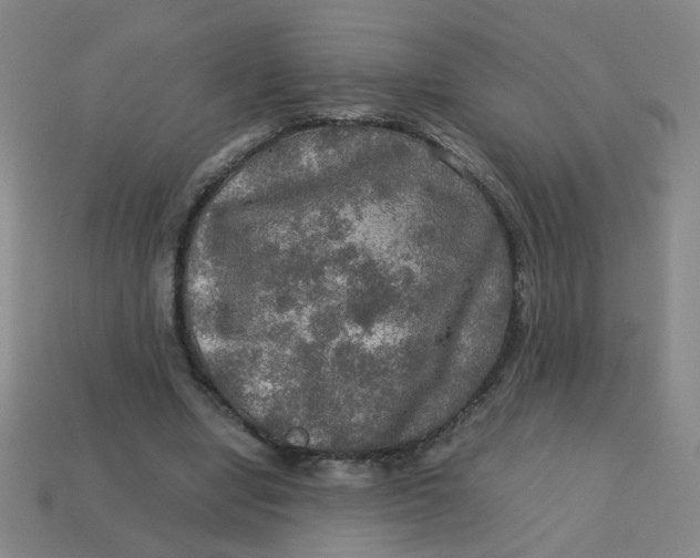 X0000113600442200910091524