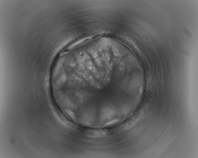 X0000113600443200910091524