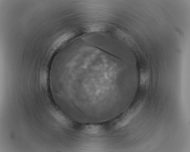 X0000113600444200910091524