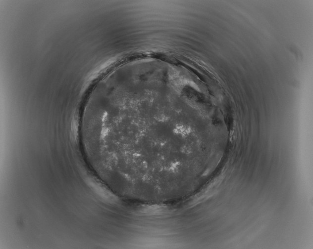 X0000113600446200910091524