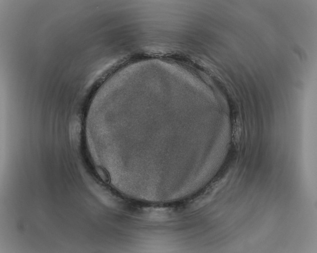 X0000113600448200910091524