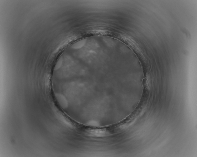 X0000113600449200910091524