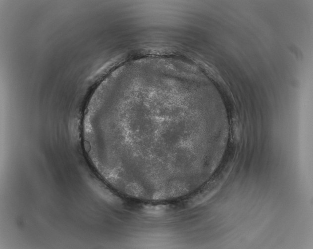 X0000113600450200910091524