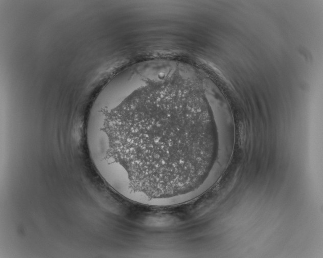 X0000113600451200910091524