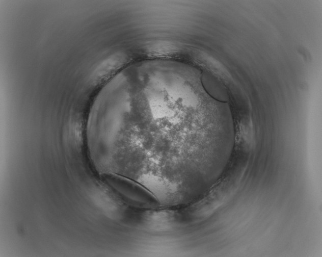 X0000113600452200910091524