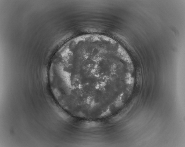 X0000113600453200910091524