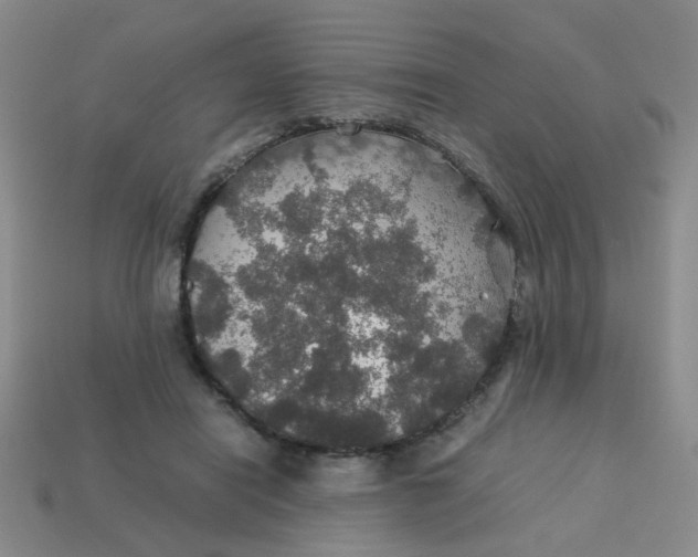 X0000113600454200910091524