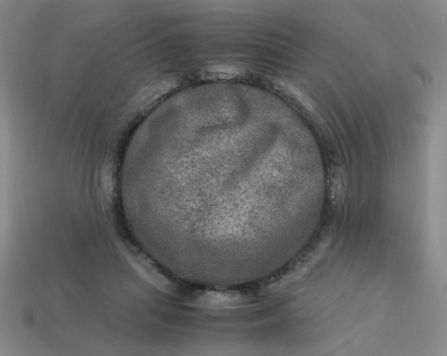 X0000113600455200910091524