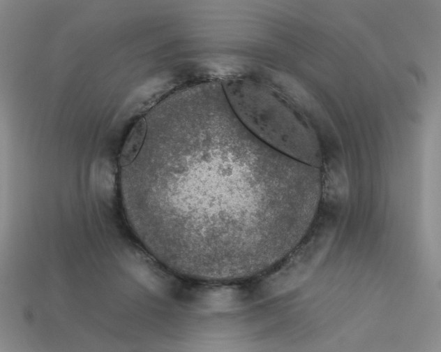 X0000113600456200910091524