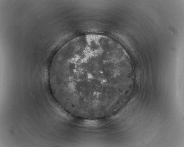 X0000113600457200910091524