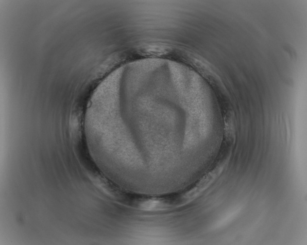 X0000113600460200910091524