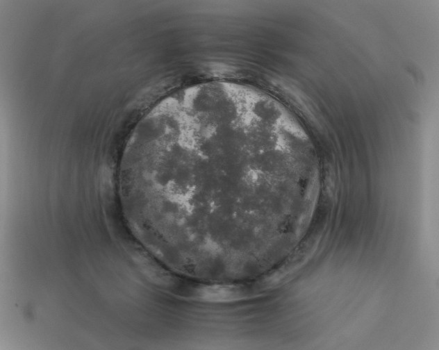 X0000113600461200910091524