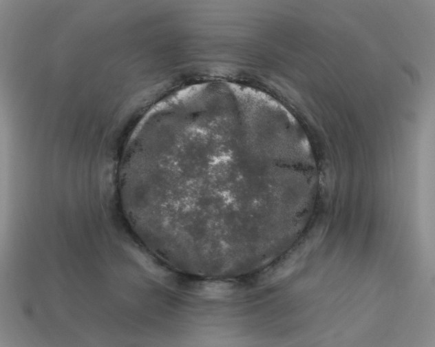 X0000113600462200910091524